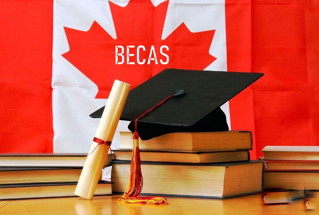 Requisitos reales para estudiar en Canadá con beca